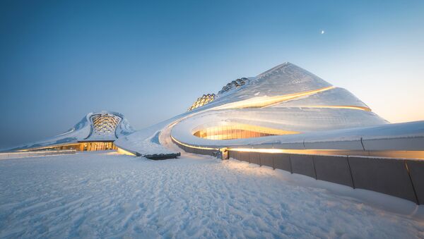 Снимок Snake Under the Moonlight китайского фотографа Jinjing Lyu, ставший финалистом конкурса The Art of Building 2020 - Sputnik Lietuva