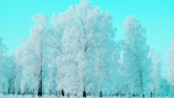 Žiema, archyvinė nuotrauka - Sputnik Lietuva