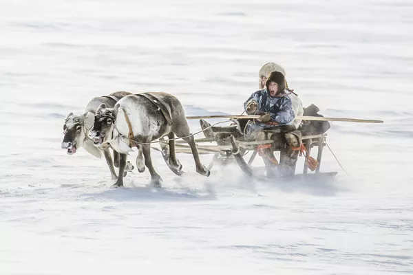 Снимок из портфолио фотографа из России Vladimir Alekseev, победившего в конкурсе 2020 Travel Photographer of the Year Снимок из портфолио фотографа из России Vladimir Alekseev, победившего в конкурсе 2020 Travel Photographer of the Year - Sputnik Lietuva