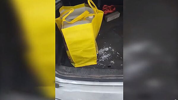 Полиция Литвы показала на видео обыски в машине, где нашли самогон - Sputnik Литва