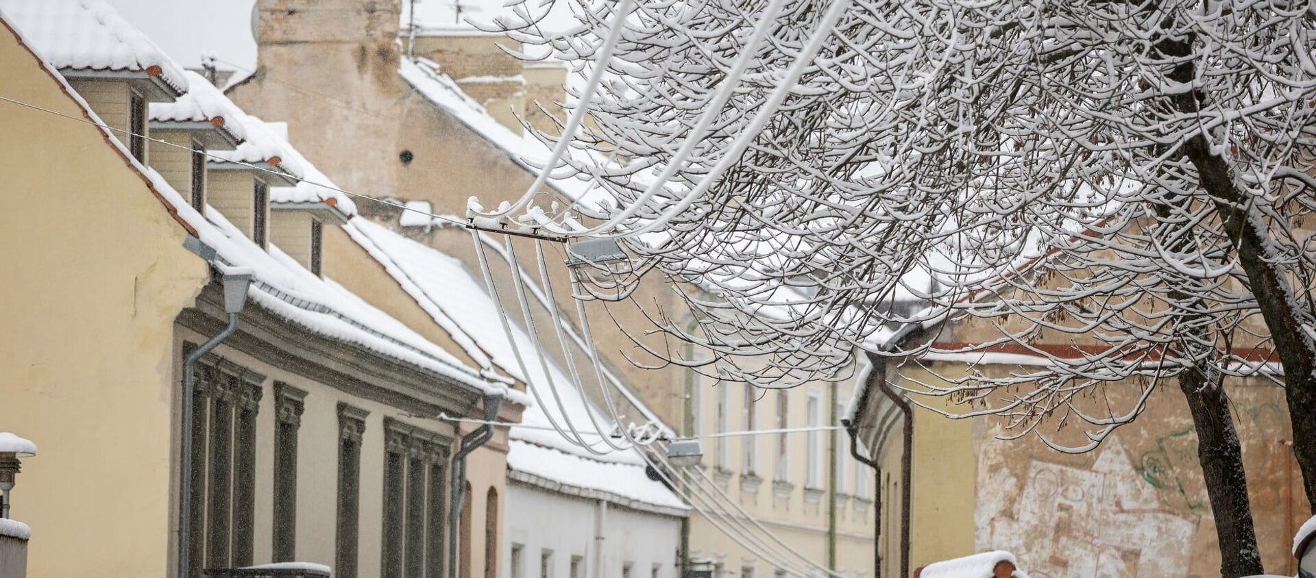 Снегопад в Вильнюсе - Sputnik Литва, 1920, 05.02.2021