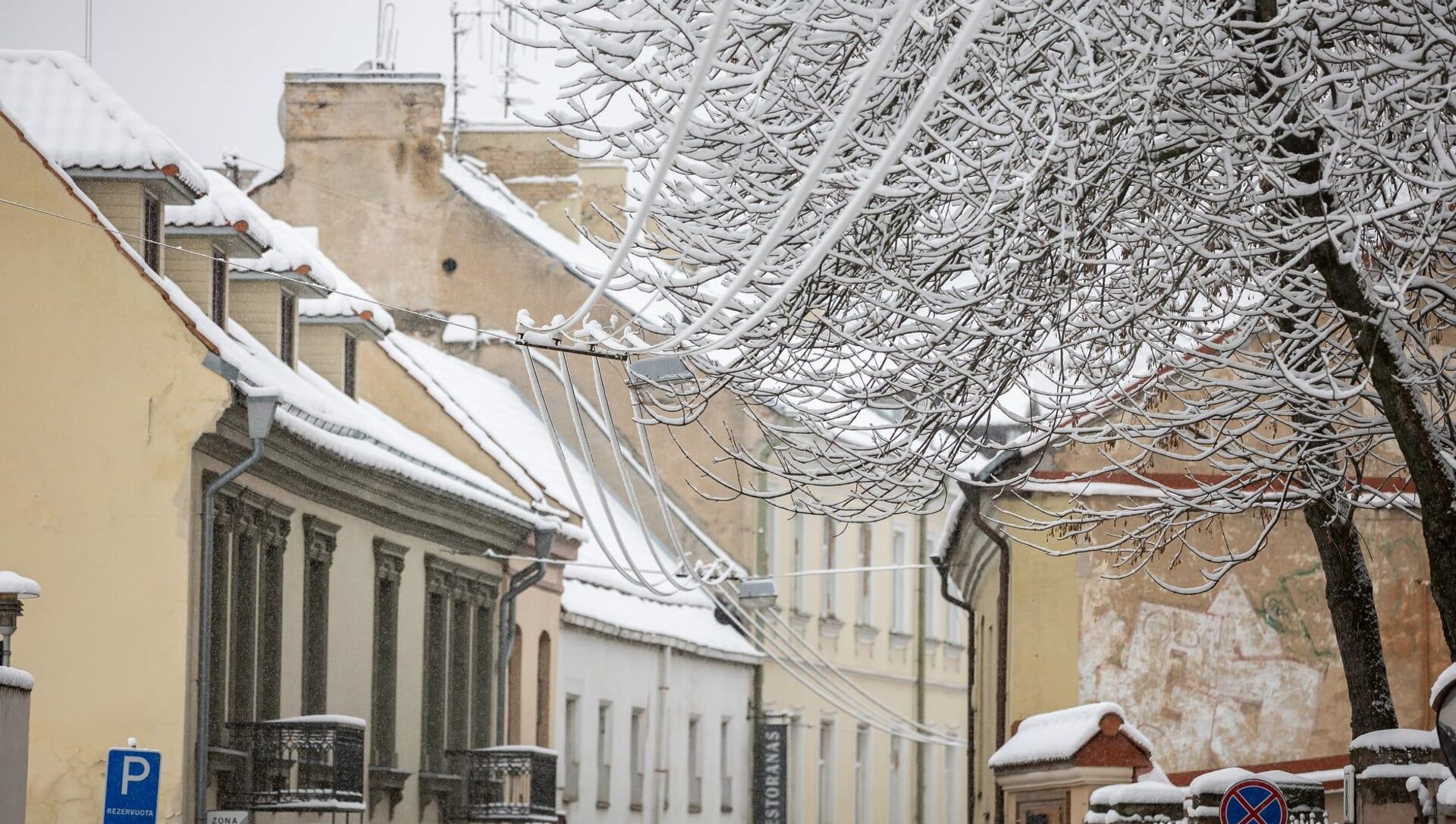 Снегопад в Вильнюсе - Sputnik Lietuva, 1920, 06.02.2021