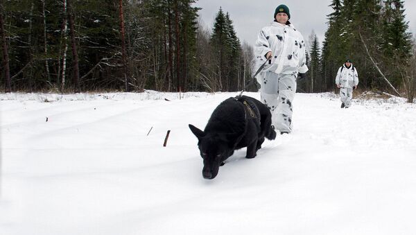 Latvijos pasieniečiai su šunimi - Sputnik Lietuva