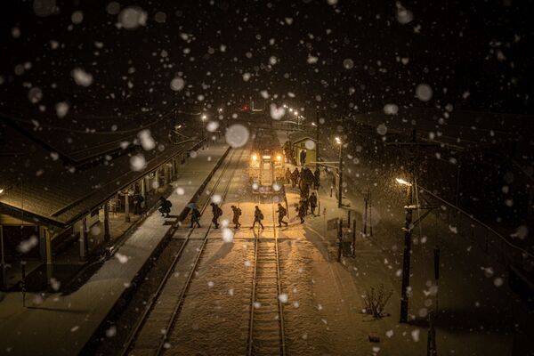 Снимок The Last Winter фотографа Yukihito Ono, победивший в номинации National Awards (Япония) конкурса 2021 Sony World Photography Awards  - Sputnik Lietuva
