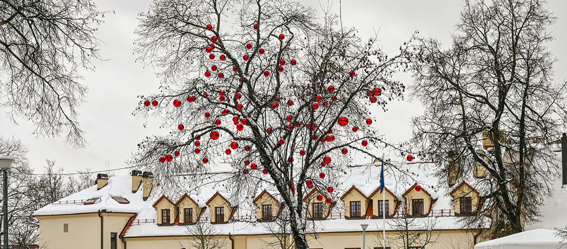 День святого Валентина во время карантина в Вильнюсе - Sputnik Литва, 1920, 02.03.2021