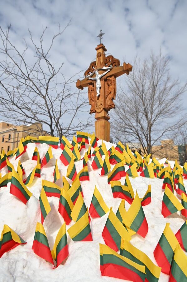 В Чикаго литовцы соорудили снежный холм и украсили его флажками  - Sputnik Lietuva