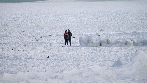 Žmonės stovi ant dalinai užšalusios Baltijos jūros kranto Pionerske (Kaliningrado sritis) - Sputnik Lietuva