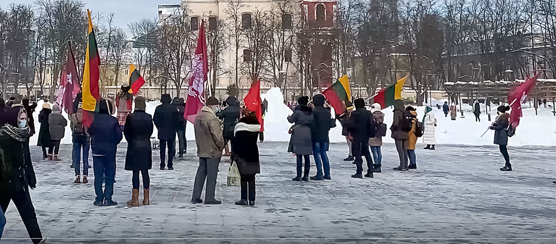 Жители Вильнюса вышли на митинг против карантинных ограничений - Sputnik Литва, 1920, 17.02.2021