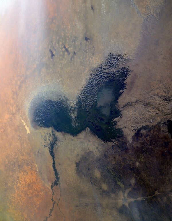 Африканское озеро Чад - Sputnik Литва