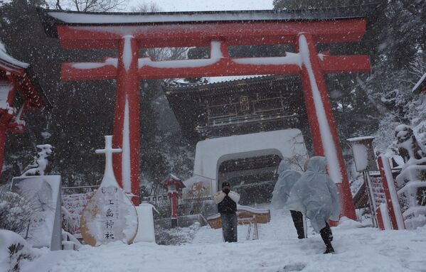 Последствия сильнейшего за 13 лет снегопада в Токио, февраль 2014 года - Sputnik Литва