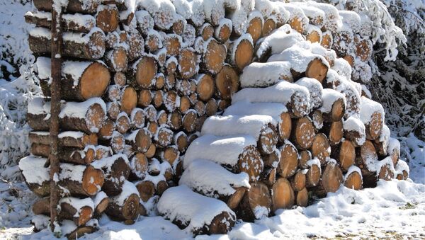 Сложенные на снегу дрова - Sputnik Lietuva
