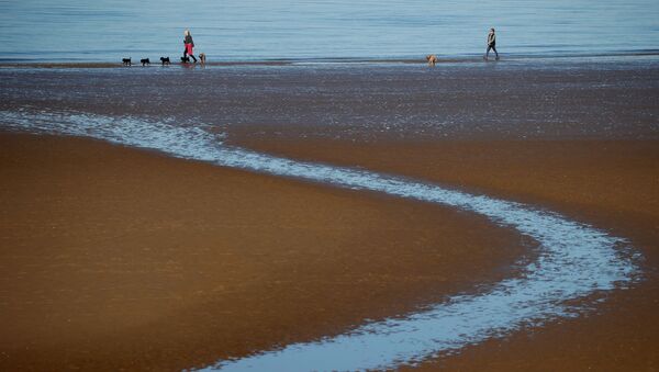 Люди гуляют по пляжу в Британии - Sputnik Литва