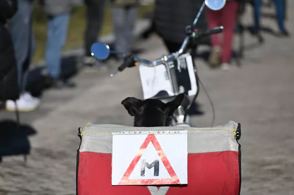 Protestuotojai atsinešė plakatus ir ant motorolerių, dviračių ir automobilių užklijavo ženklą M. Protestuotojai atsinešė plakatus ir ant motorolerių, dviračių ir automobilių užklijavo ženklą M. - Sputnik Lietuva