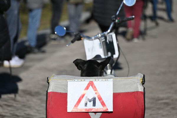 Protestuotojai atsinešė plakatus ir ant motorolerių, dviračių ir automobilių užklijavo ženklą M. - Sputnik Lietuva