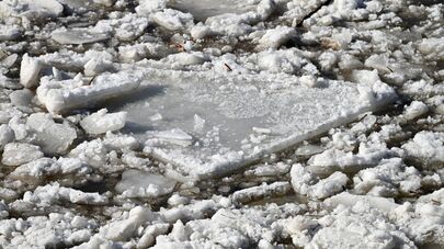 Ледоход на реке Нерис в Вильнюсе 