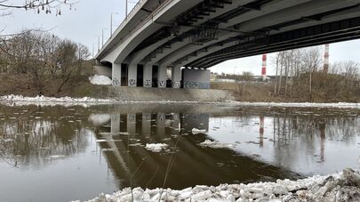 Ледоход на реке Нерис в Вильнюсе