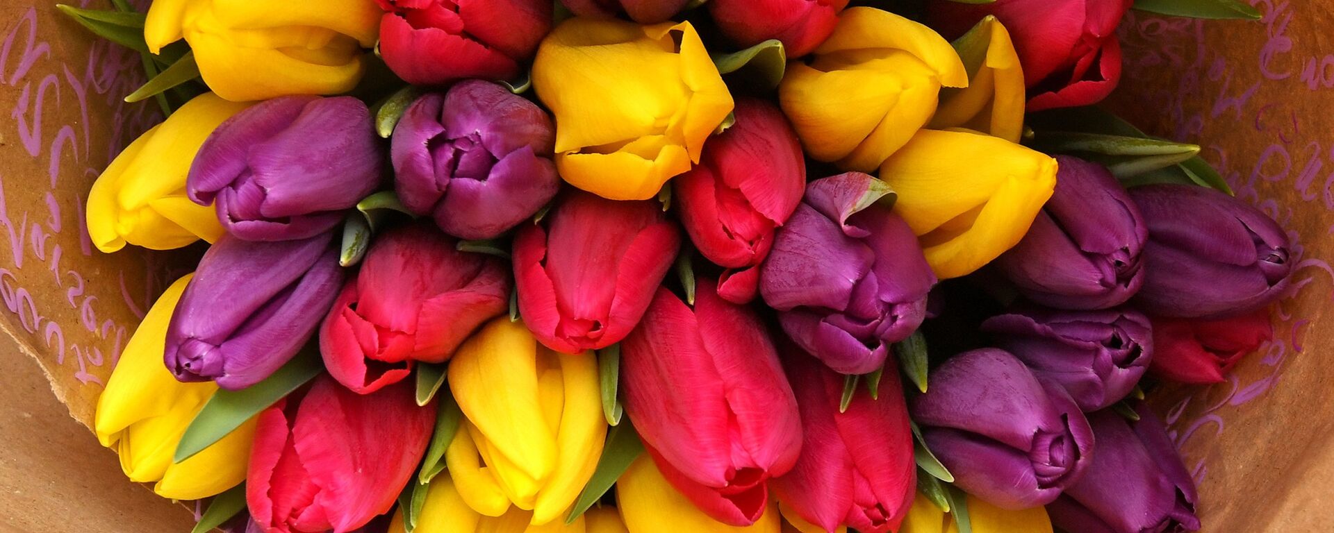 Тюльпаны, архивное фото - Sputnik Литва, 1920, 08.03.2021