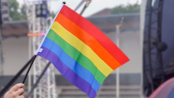 LGBT vėliava - Sputnik Lietuva