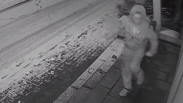 Vaikinas pyktį išliejo ant policijos komisariato durų — video - Sputnik Lietuva