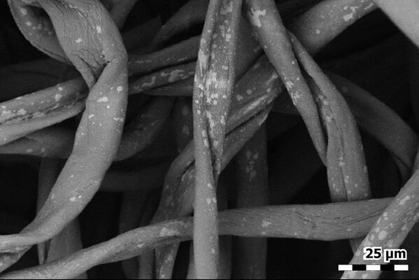 Atskiros medvilnės flanelinės veido kaukės pluoštai, nufotografuoti skenuojančiu elektroniniu mikroskopu. Vaizdo plotis yra 25 mikrometrai. - Sputnik Lietuva