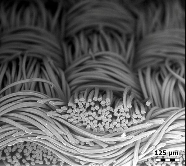 Волокна лицевой маски из полиэстера, сфотографированные с помощью сканирующего электронного микроскопа.  Масштаб изображения составляет 125 микрометров, или миллионных долей метра, что немного шире, чем средний человеческий волос. - Sputnik Литва