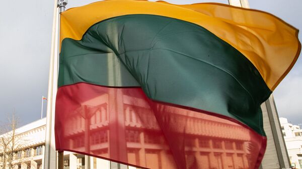 Флаг Литвы на фоне Сейма - Sputnik Литва