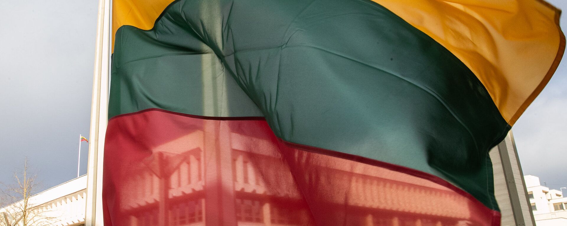 Флаг Литвы на фоне Сейма - Sputnik Литва, 1920, 24.06.2021