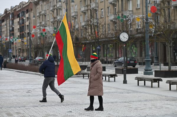 Žmonės su vėliavomis išėjo pasivaikščioti šventinę dieną. - Sputnik Lietuva
