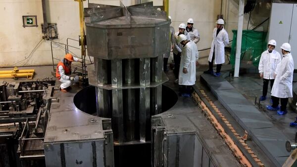 Antrajame BelAE energijos bloke užbaigtas šilumą išskiriančių konstrukcijų imitatorių įkėlimas į reaktorių  - Sputnik Lietuva