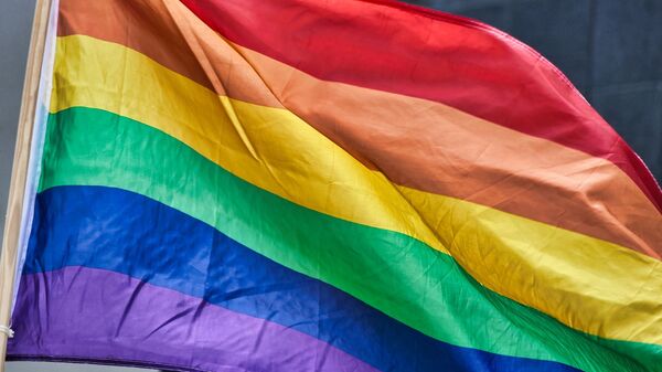 LGBT vėliava - Sputnik Lietuva