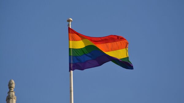 Флаг ЛГБТ - Sputnik Литва