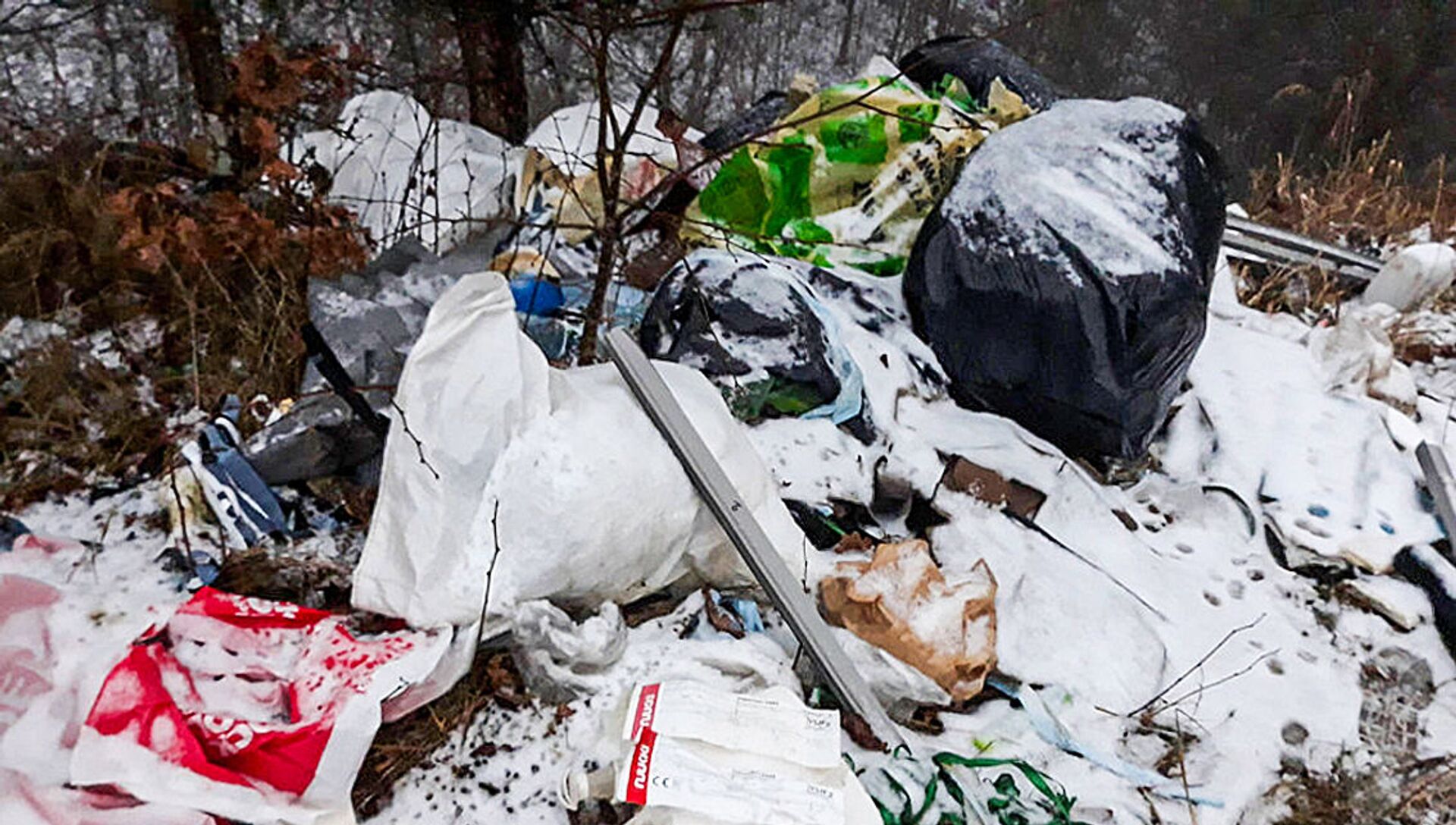 Отходы, брошенные в лесу Вильнюсского района - Sputnik Lietuva, 1920, 22.03.2021
