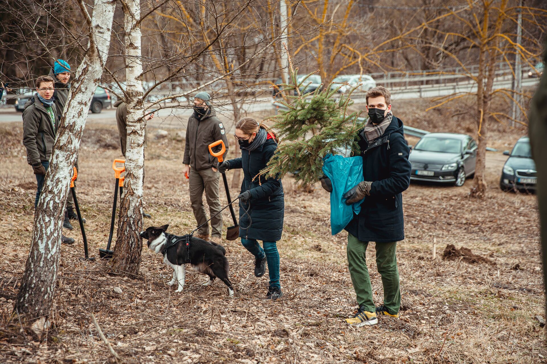 Жители Вильнюса высаживают елки в Рождественском лесу - Sputnik Lietuva, 1920, 12.05.2021