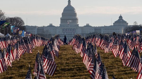 Флаги США перед зданием Конгресса в Вашингтоне - Sputnik Литва