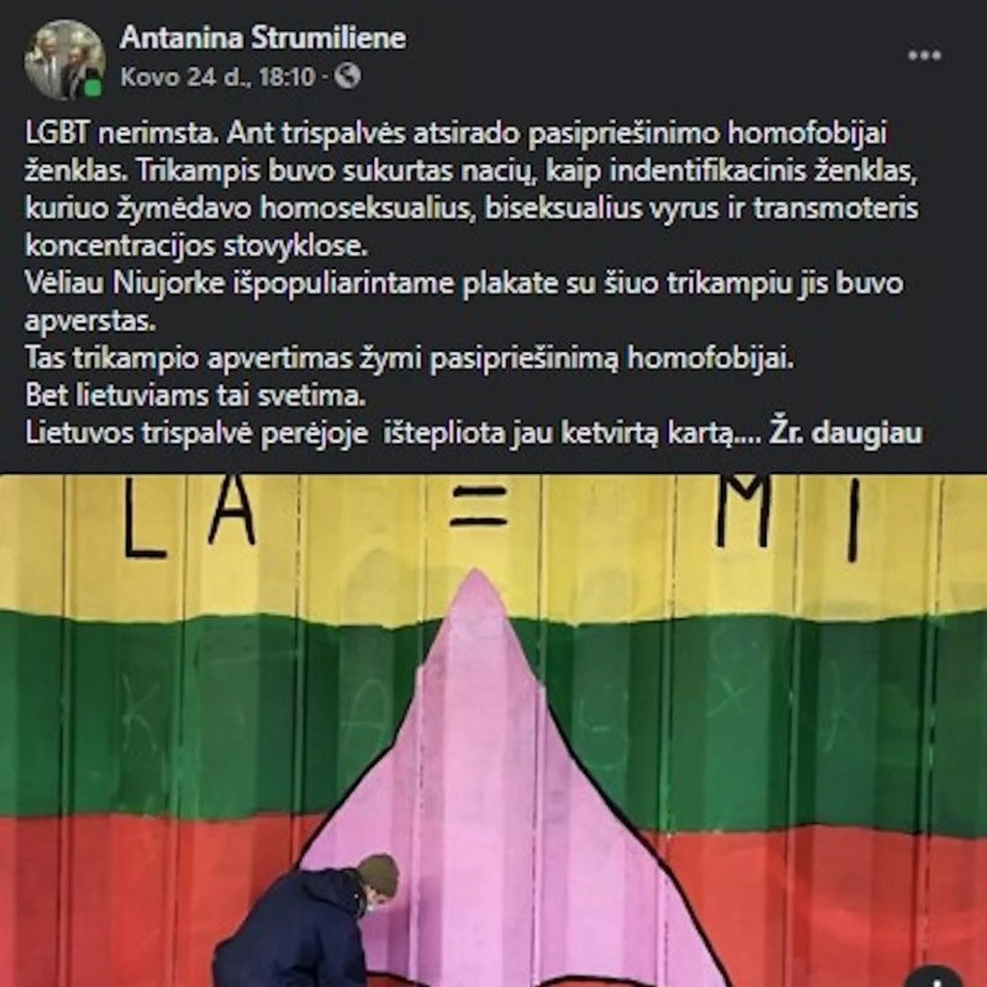 Lietuvos trispalvė perėjoje  ištepliota jau ketvirtą kartą 5 - Sputnik Lietuva, 1920, 12.05.2021