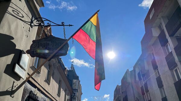 Флаг Литвы в центре Вильнюса, архивное фото - Sputnik Литва