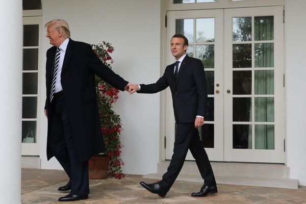 2018 metais, Prancūzijos prezidento Emanuelio Makrono vizito metu, buvęs JAV prezidentas Donaldas Trampas aprodė jam Baltuosius rūmus, juokais vedžiodamas už rankos. - Sputnik Lietuva