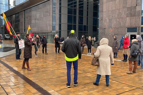 Саму акцию протеста проводила известный в Вильнюсе общественник Нендре Черняускене. - Sputnik Литва