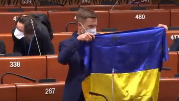 Председатель ПАСЕ отчитал депутата с Украины и лишил его слова - Sputnik Lietuva