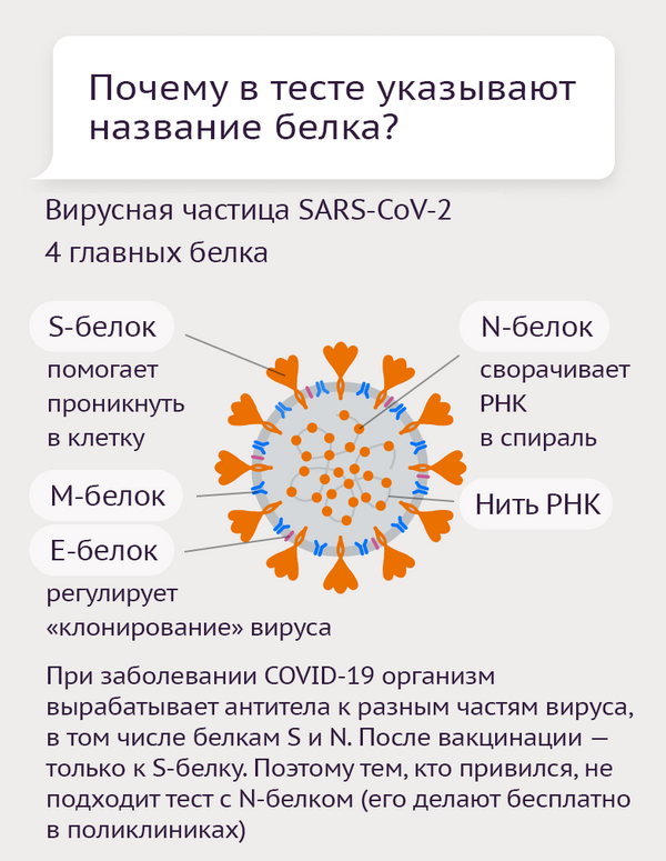 Тесты на антитела к коронавирусу-6 - Sputnik Литва