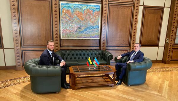 Глава МИД Литвы Габриэлюс Ландсбергис с официальным визитом в Азербайджане - Sputnik Литва