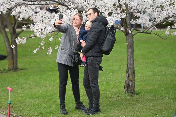 Nuotraukoje: žmonės fotografuojami žydinčių sakurų fone Čiunės Sugiharos parke, Vilniuje. - Sputnik Lietuva