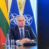 Президент Литвы Гитанас Науседа на заседании с участникам саммита Бухарестской девятки - Sputnik Lietuva