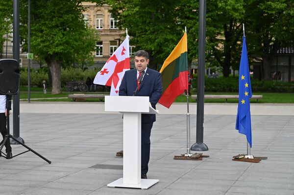Gruzijos ambasadorius Lietuvoje Levanas Gvačlianis pasakė oficialią kalbą Nepriklausomybės dienos proga. - Sputnik Lietuva