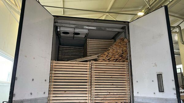 Pjautinės medienos krovinyje aptikta cigarečių kontrabanda - Sputnik Lietuva
