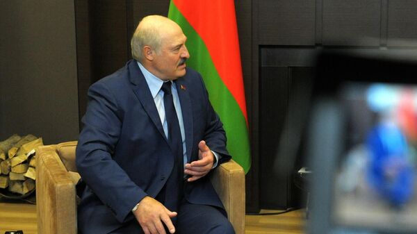 Президент Белоруссии Александр Лукашенко на встрече с президентом России Владимиром Путиным в Сочи - Sputnik Литва