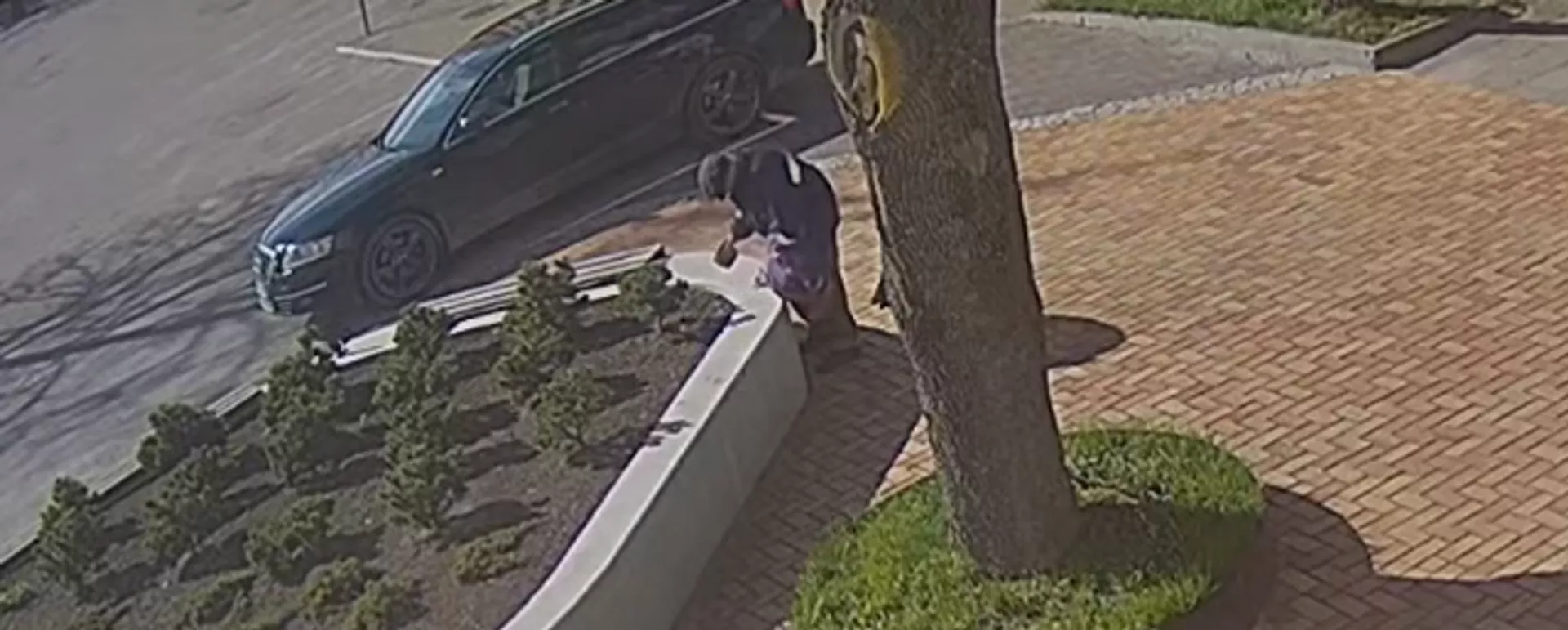 В Литве показали на видео мужчину, укравшего скульптуру из цветника - Sputnik Lietuva, 1920, 09.06.2021