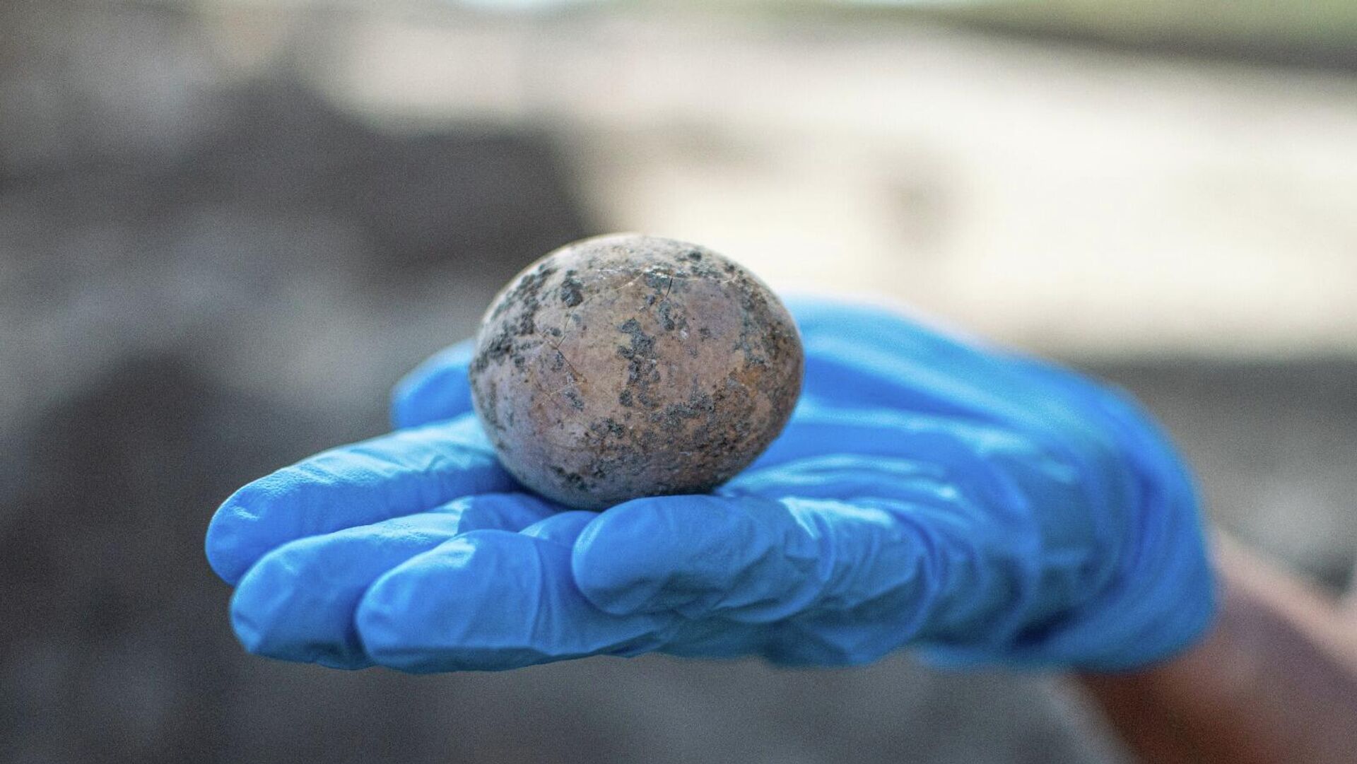 В Израиле найденное тысячелетнее куриное яйцо - Sputnik Lietuva, 1920, 14.06.2021