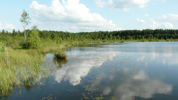 Водоем в Дзукийском национальном парке в Литве - Sputnik Литва
