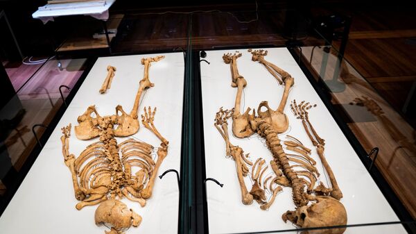 Du skeletai, rasti masiniame kape Oksforde, JK, guli Danijos nacionalinio muziejaus vitrinoje - Sputnik Lietuva